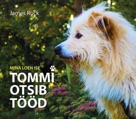 Tommi otsib tööd kaanepilt – front cover