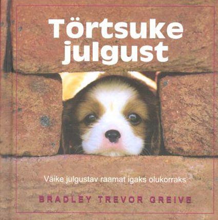 Törtsuke julgust Väike julgustav raamat igaks olukorraks kaanepilt – front cover