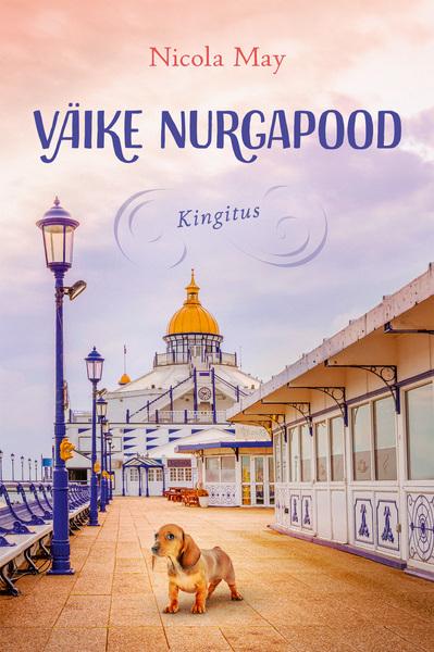 Väike nurgapood: kingitus kaanepilt – front cover