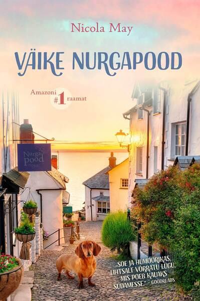 Väike nurgapood kaanepilt – front cover