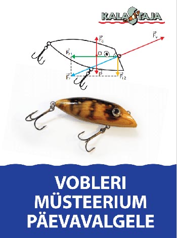 Vobleri müsteerium päevavalgele kaanepilt – front cover