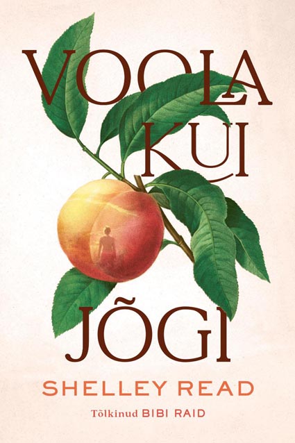 Voola kui jõgi kaanepilt – front cover